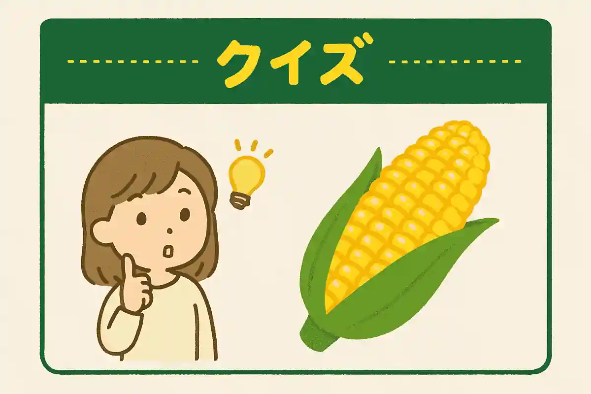 とうもろこしの粒の皮に含まれている栄養分は?