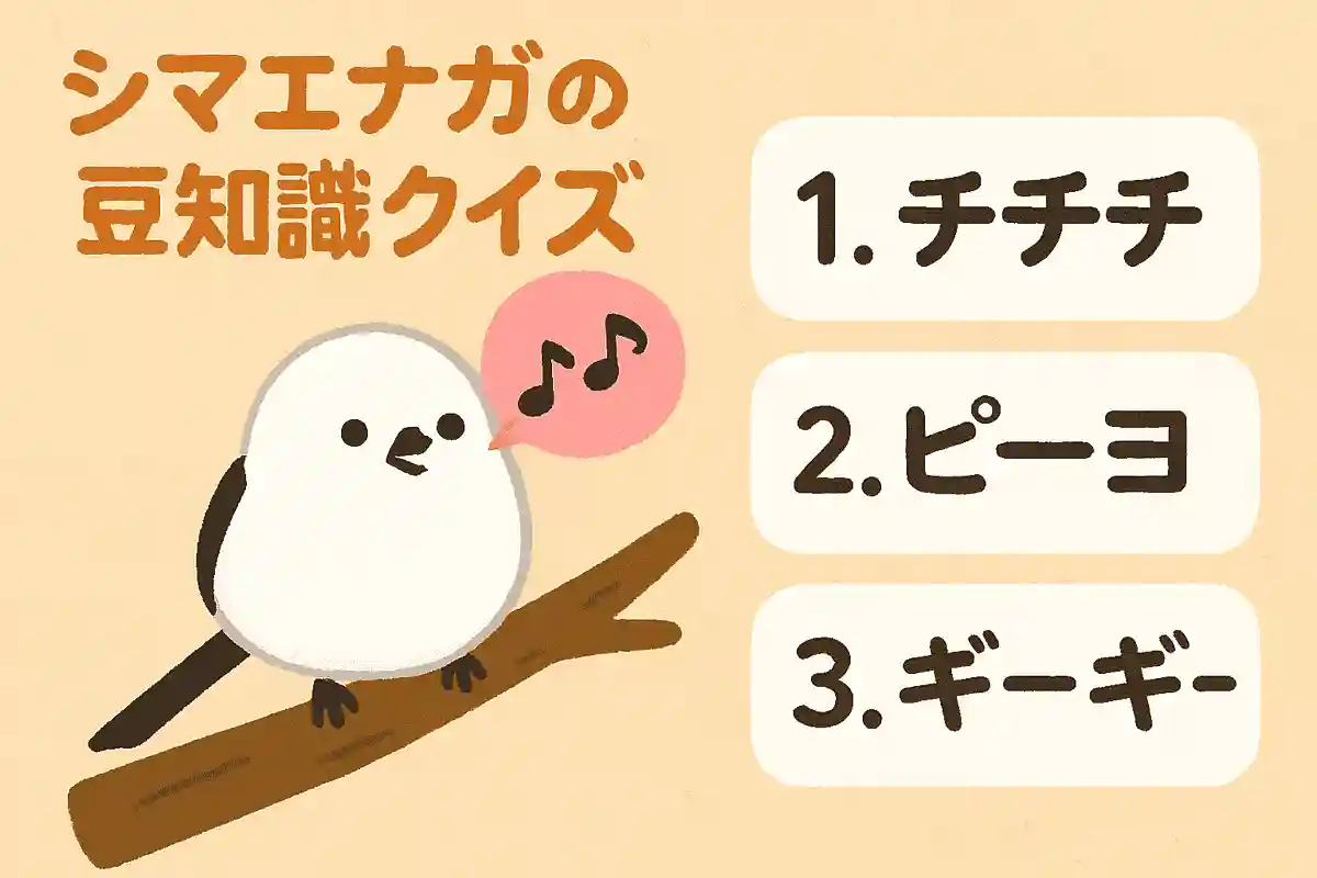 シマエナガの鳴き声はどんな音でしょう？