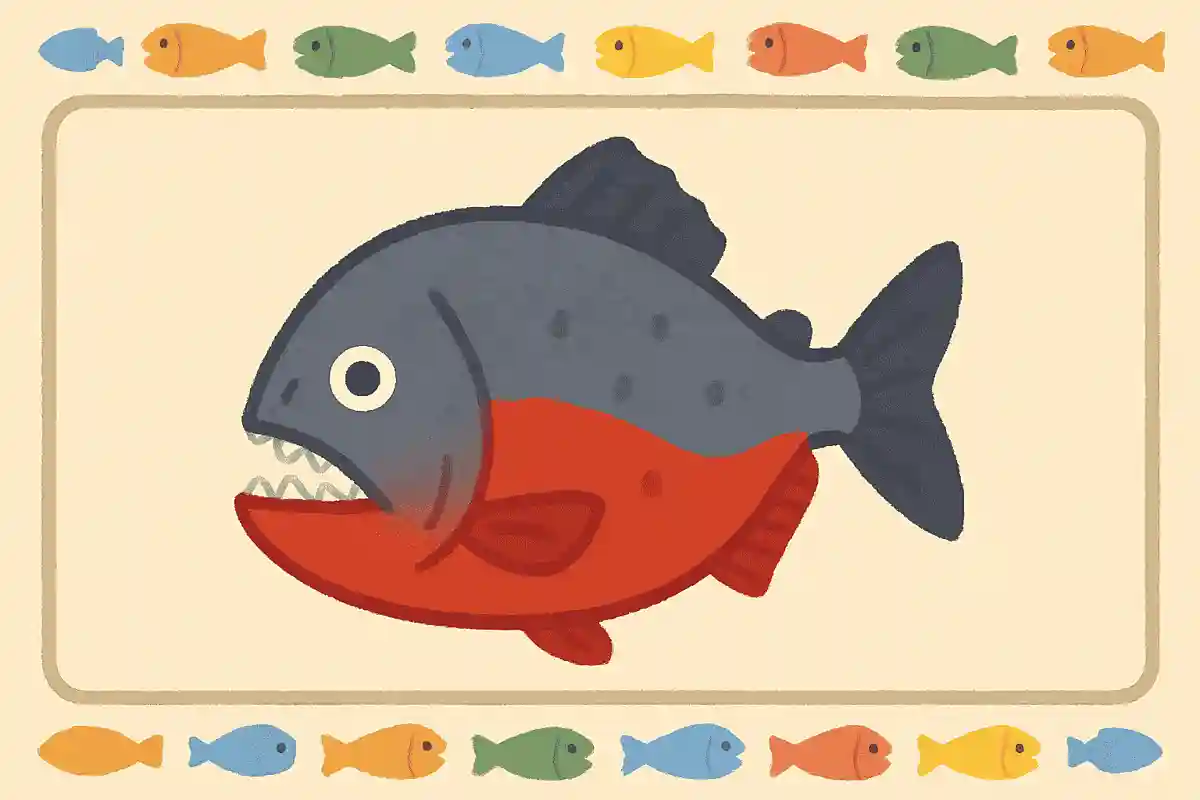 アマゾン川などに生息する、人食い魚として有名な魚は?