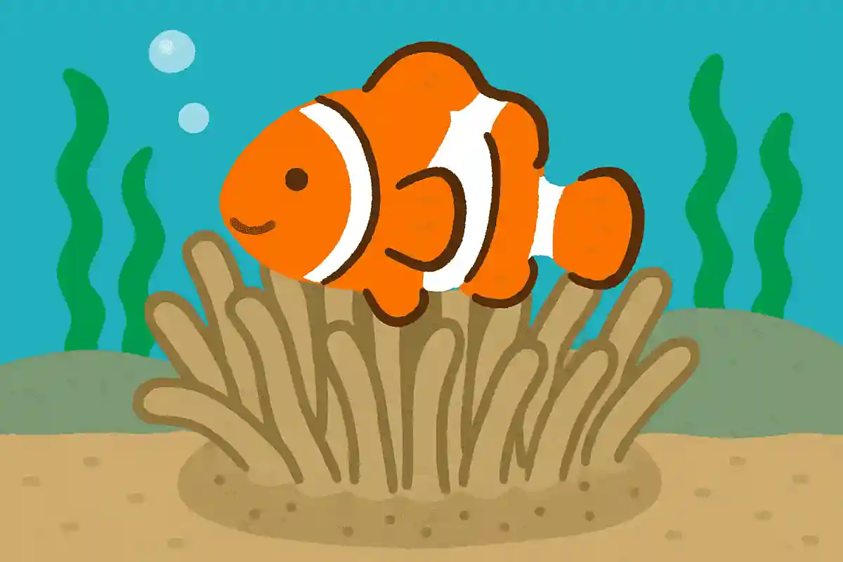 カクレクマノミは敵から身を守るため、どこに住んでいる?