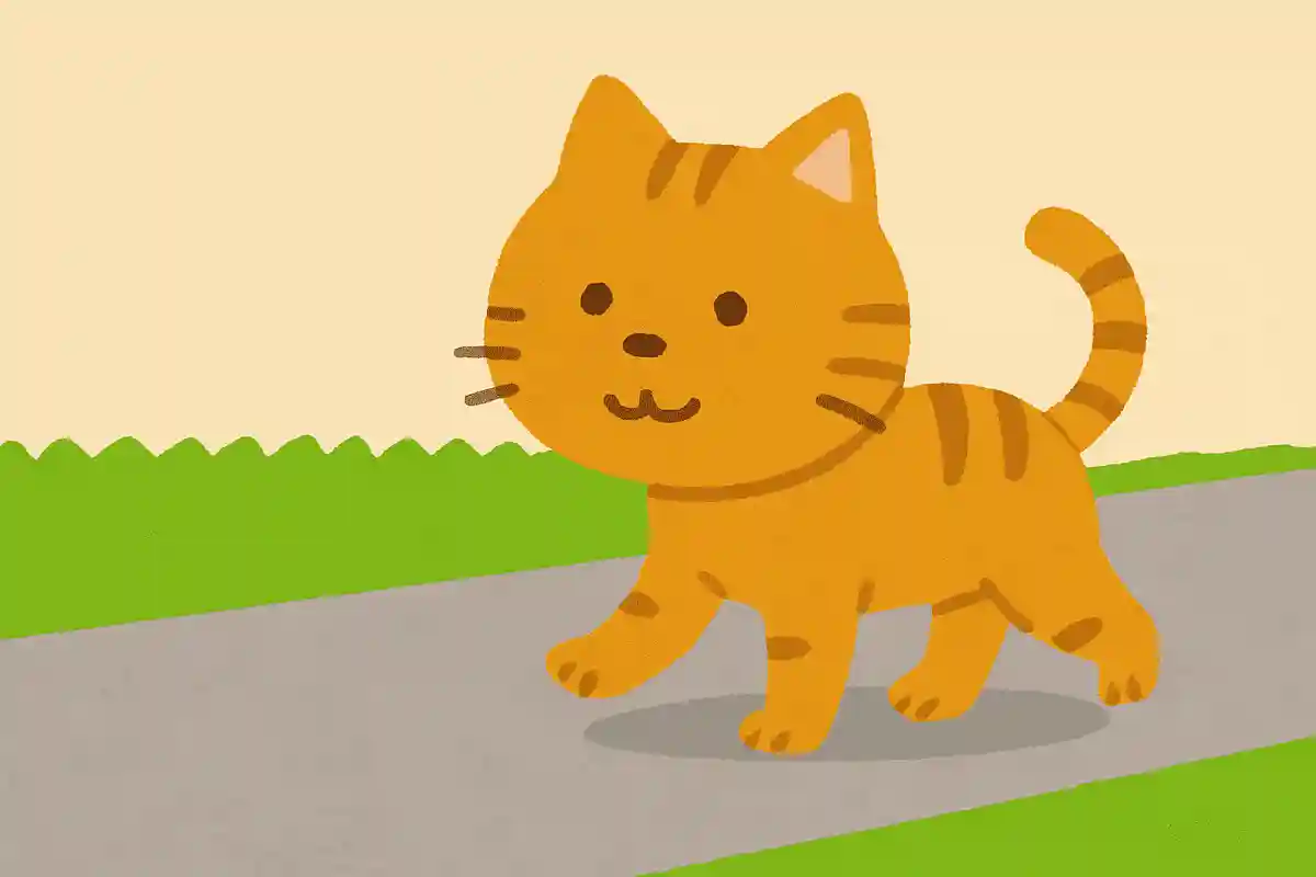 野良猫が道を歩いていきます。とるにはどうすればいいでしょうか？