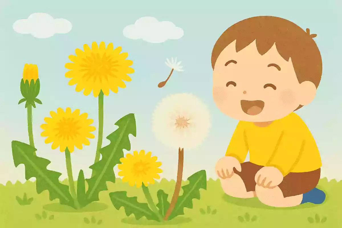 たんぽぽ荒井真紀