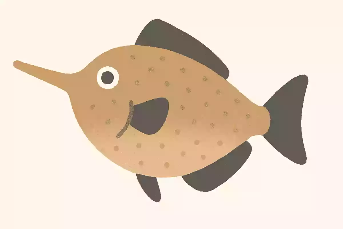 ナガハギ