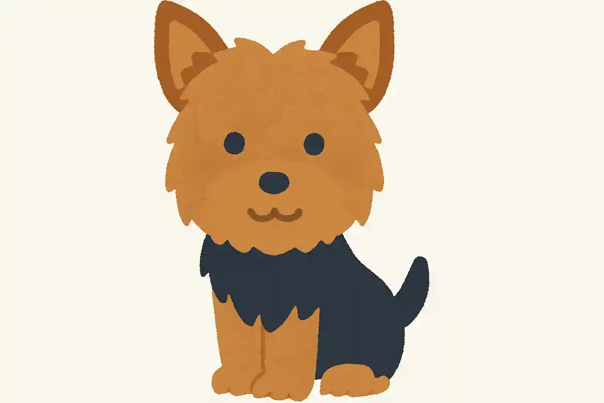 ヨークシャーテリア