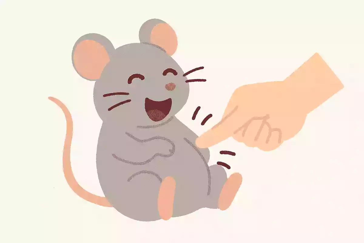 ネズミをくすぐるとどうなるでしょうか?