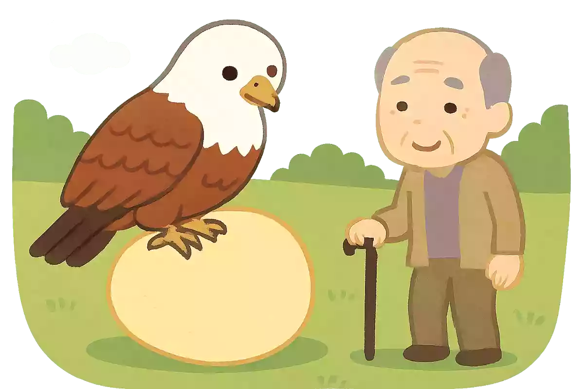 トビが〇〇を生む