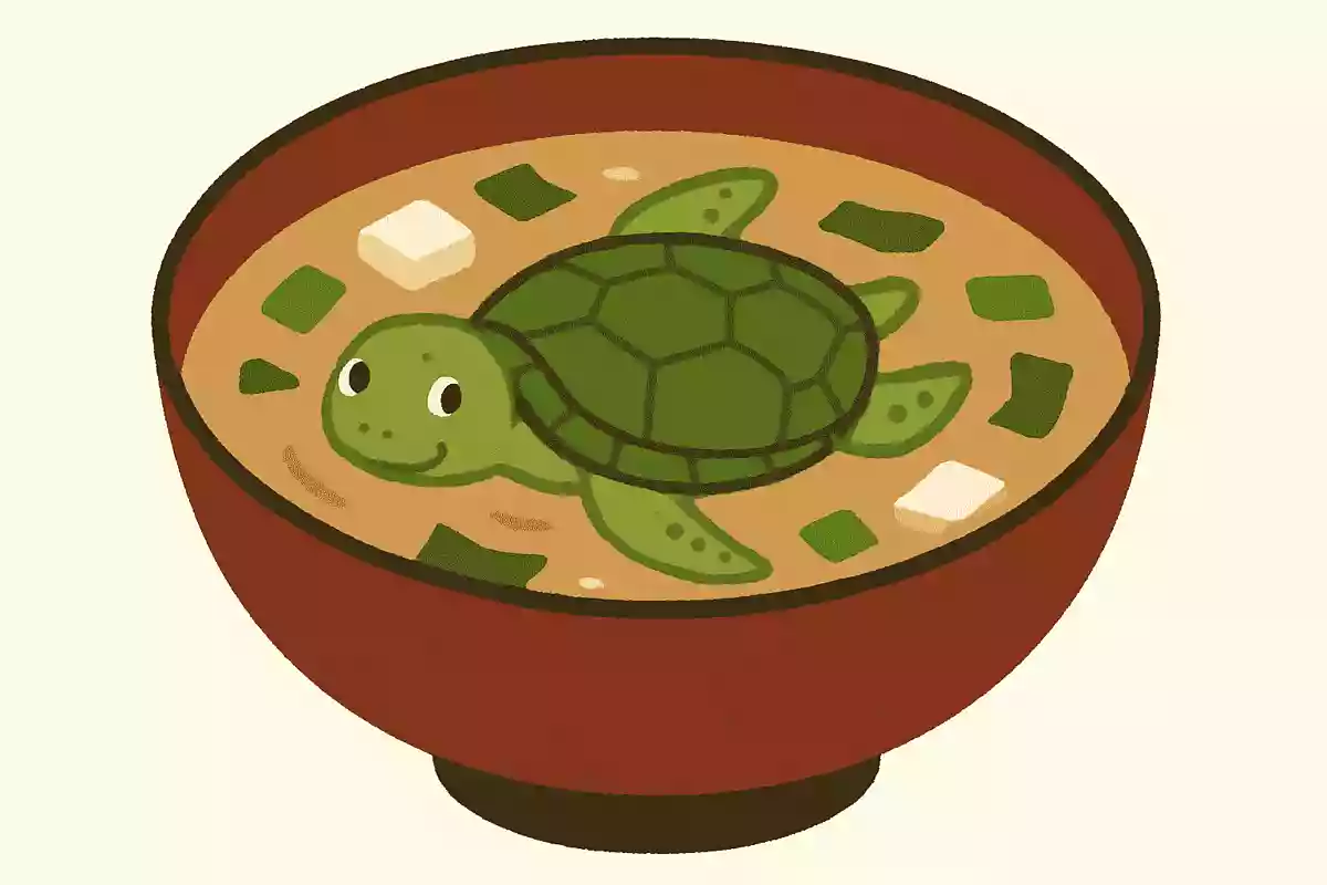 おみそ汁の中を泳いでいるカメってどんなカメ？