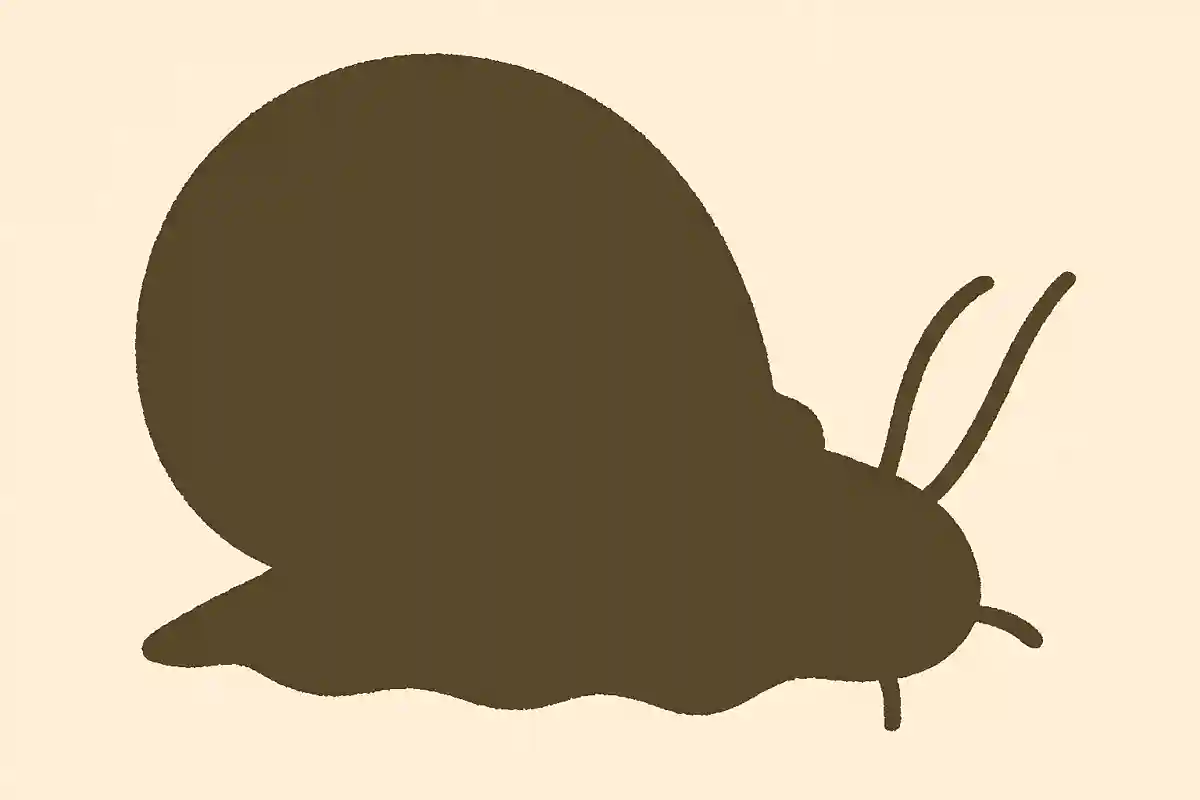 ぬまがい（沼貝）