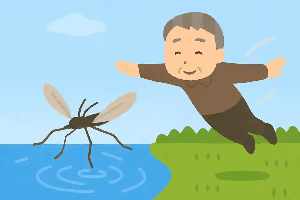 アメンボはどのようにして他の水辺に移動するでしょう？