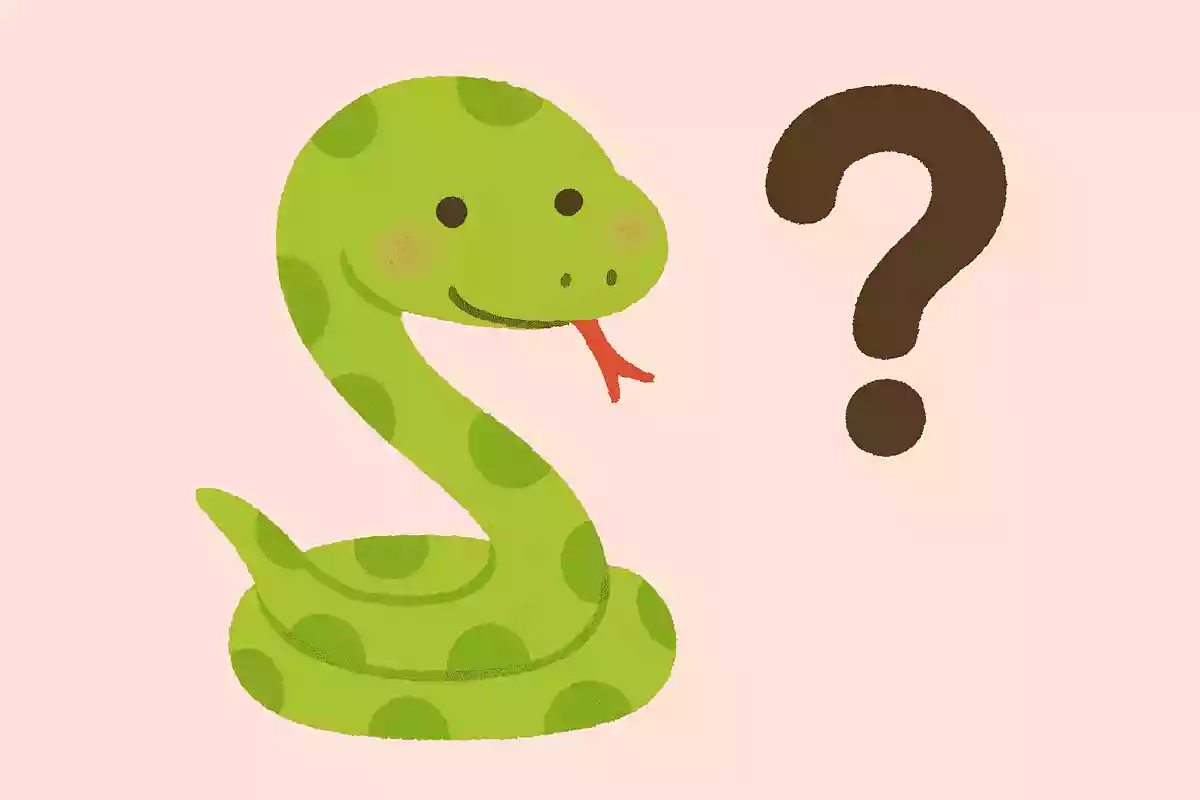【保育】ヘビさんクイズ