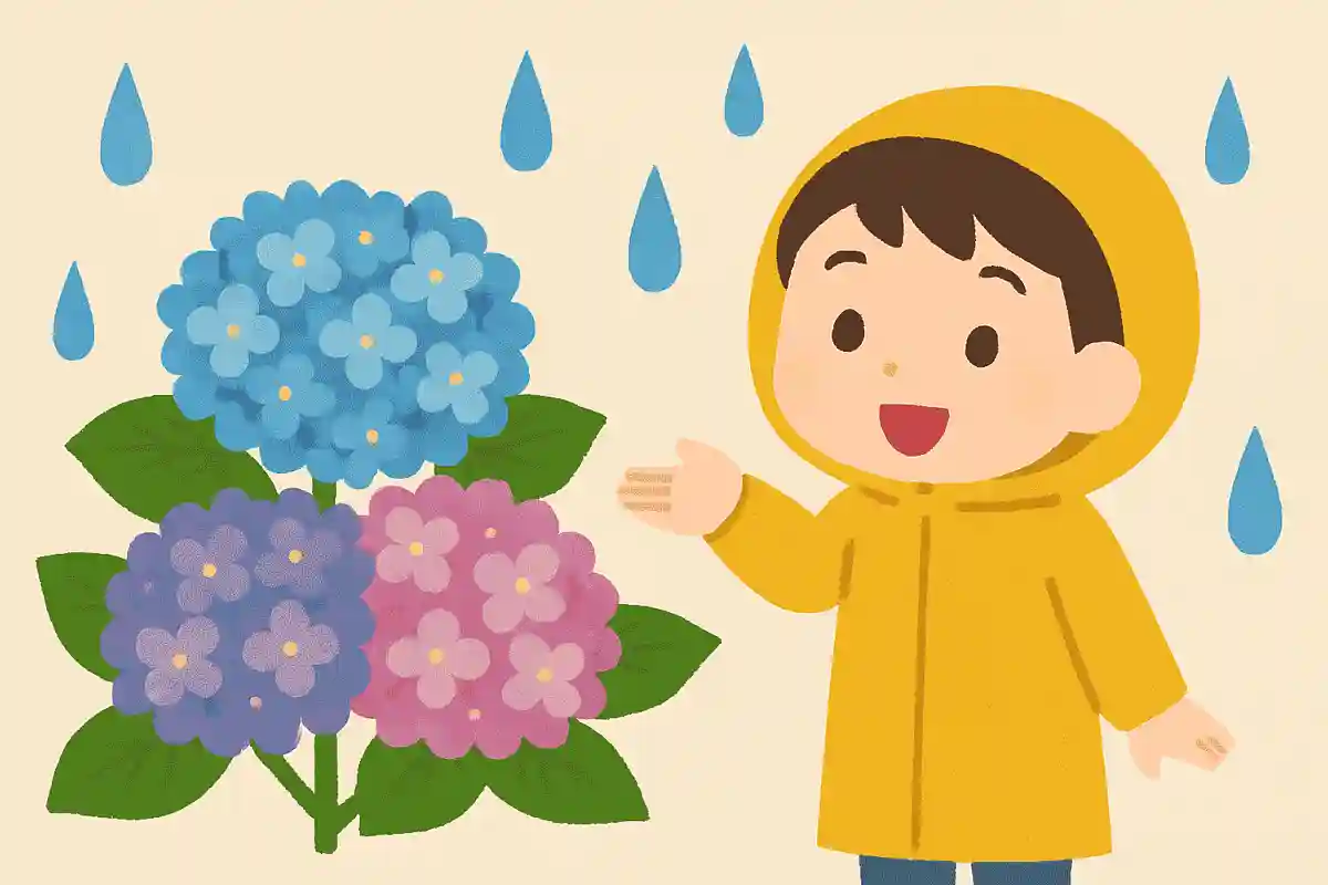 アジサイの花の色が違うのはなぜでしょうか?
