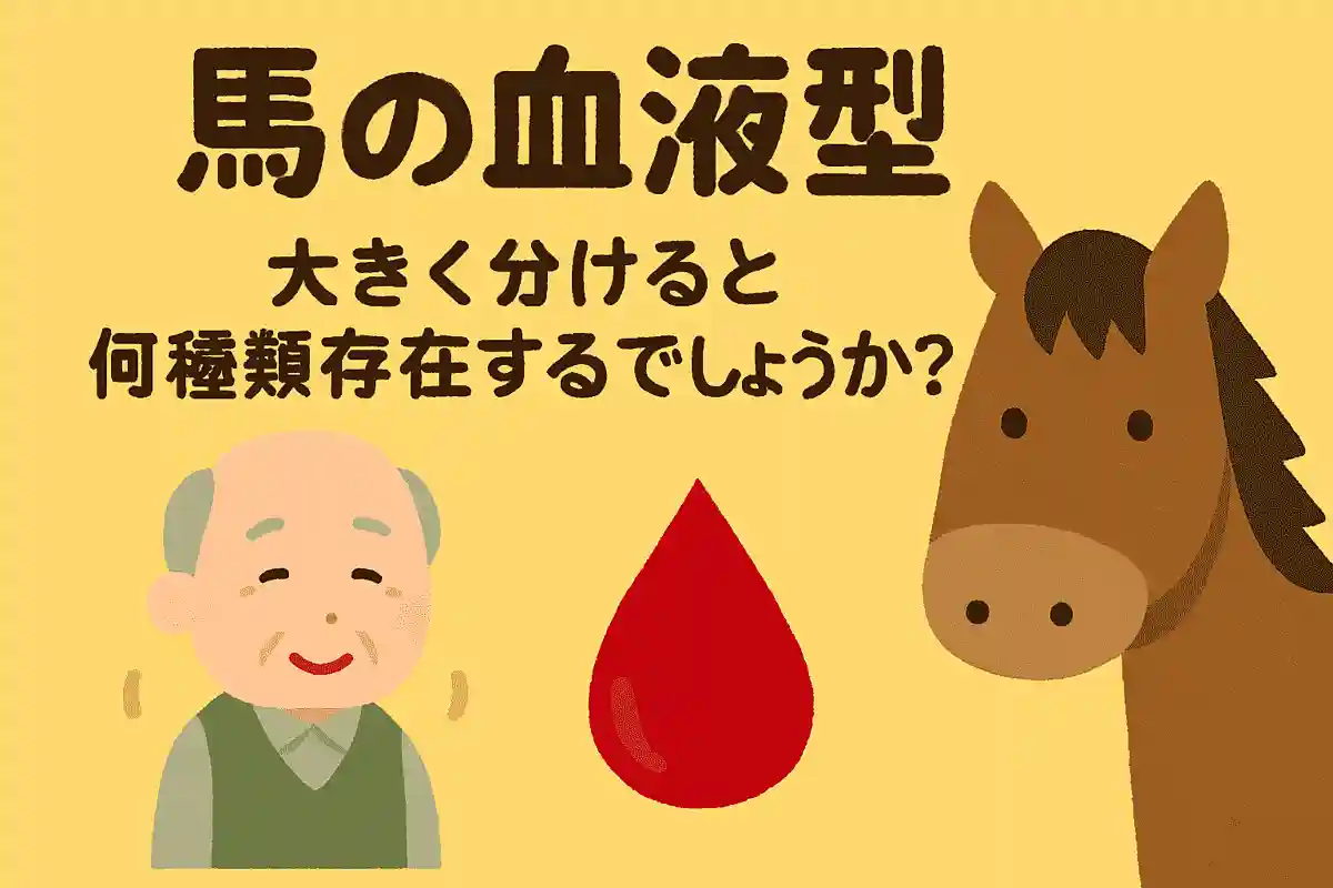 馬の血液型を大きく分けると何種類存在するでしょうか？