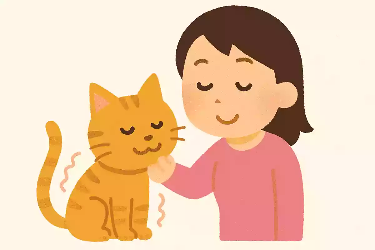 猫が喉を鳴らす「ゴロゴロ音」聞いた人間にはどんな効果がある?