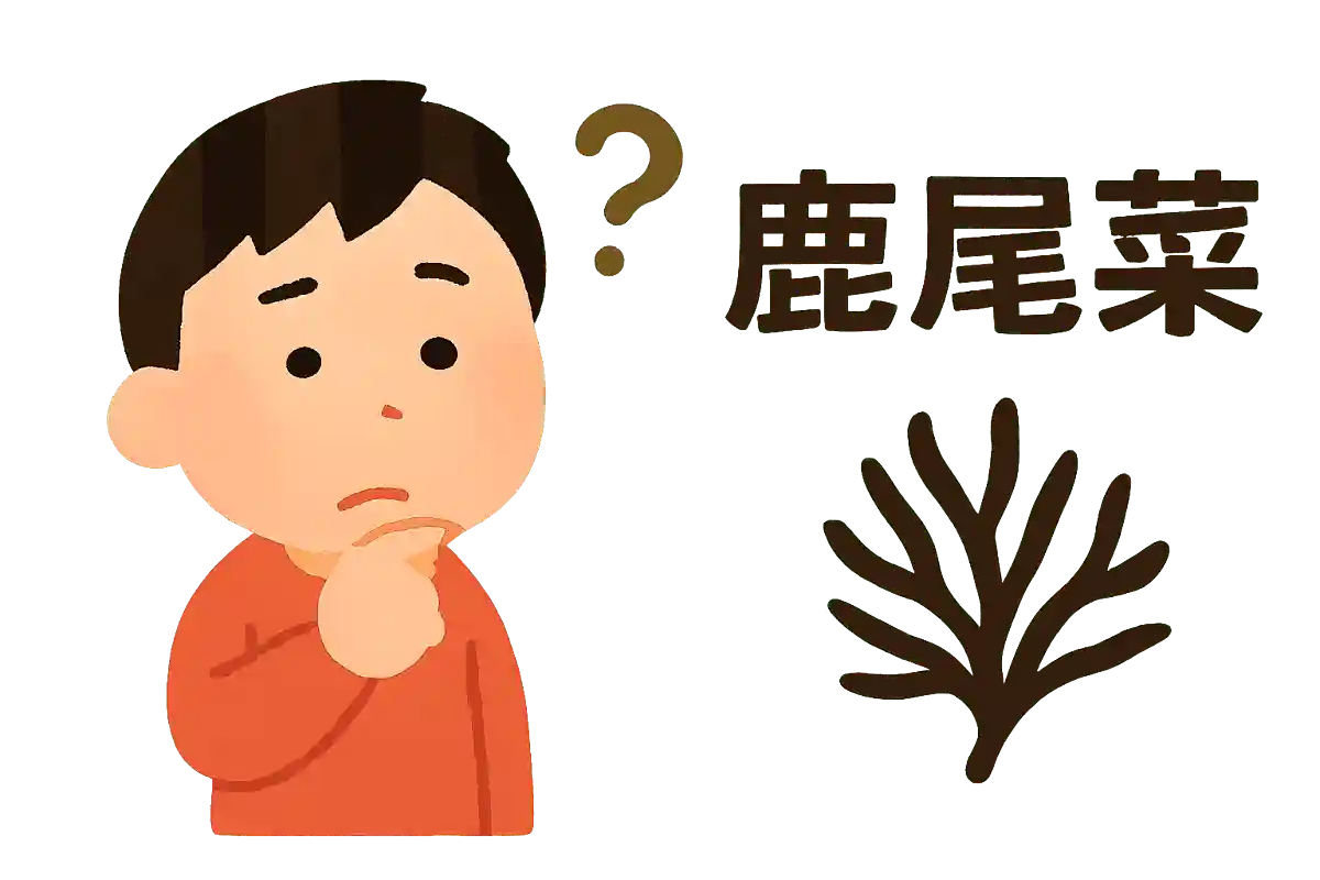 「鹿尾菜」はなんと読むでしょうか？