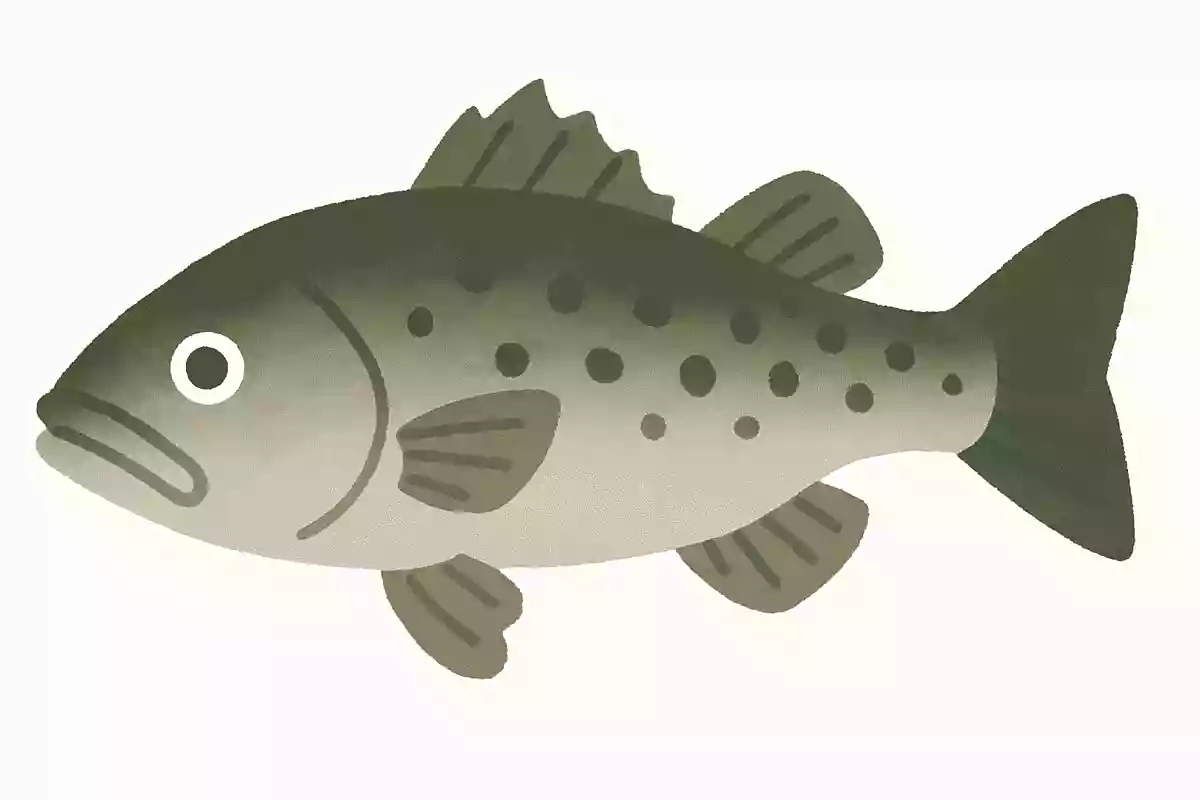ロギョ(鱸魚)