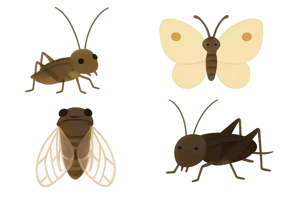 鈴虫、ちょうちょ、セミ、コオロギの中で仲間はずれはどれ?