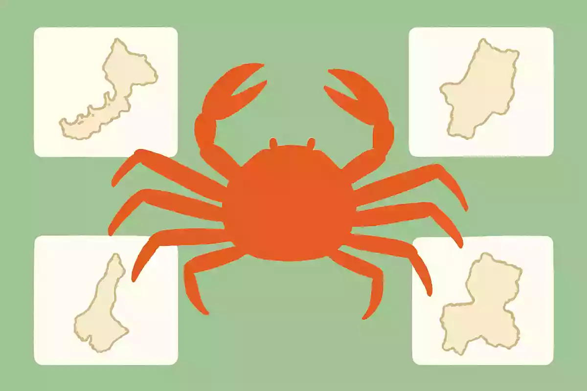 越前ガニはどこの県で獲れるカニでしょうか？
