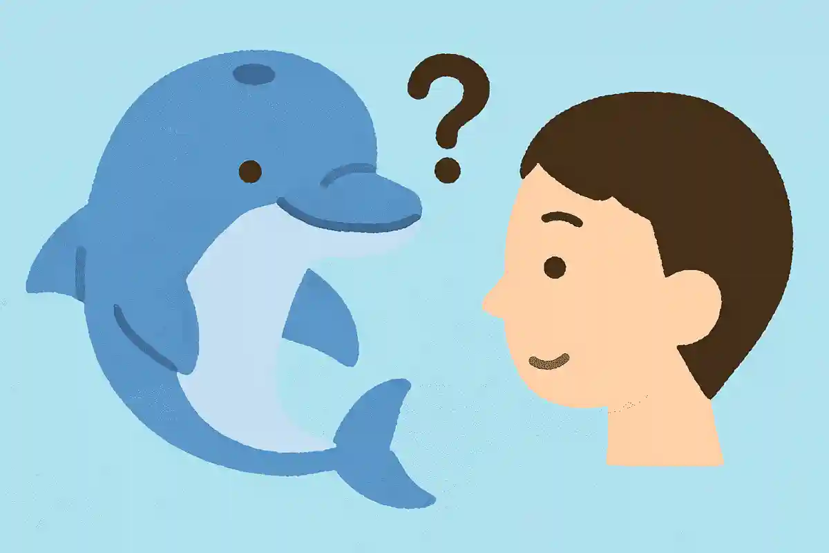 イルカの頭の上にある穴は、人間でいうとどの部分に当たるでしょうか？