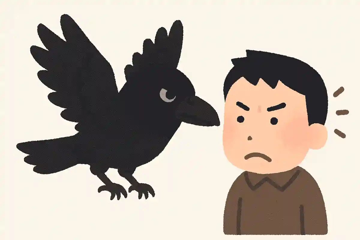 カラスは危害を加えてきた人の顔を覚える