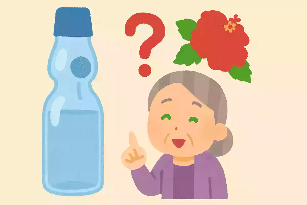 瓶ラムネの中に入っている、玉の正式名称を何と言うでしょうか?