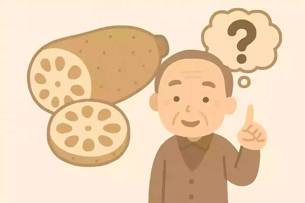 レンコンの穴は、どうしてあいているでしょうか?