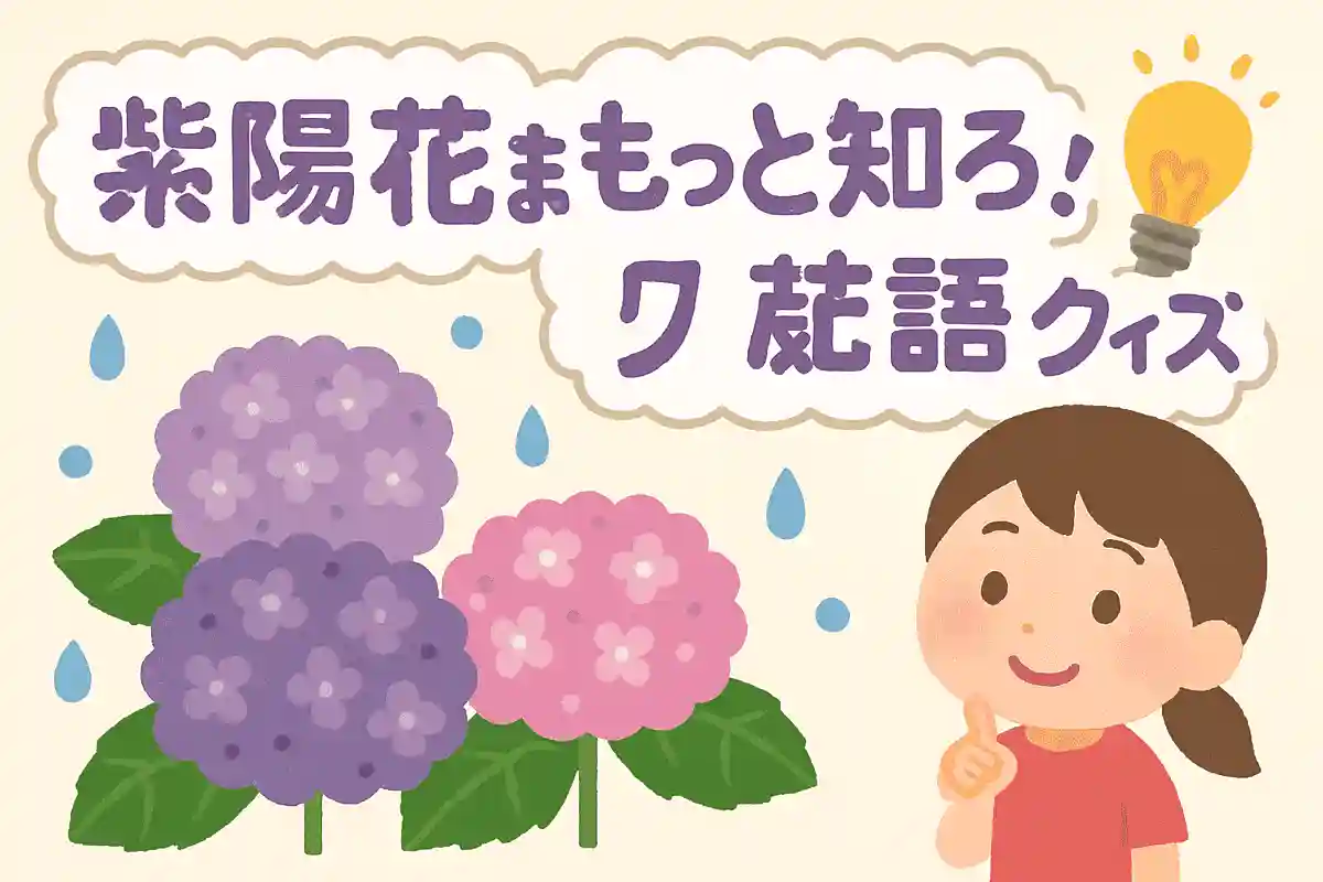 紫陽花がきれいに咲く季節はいつでしょう？