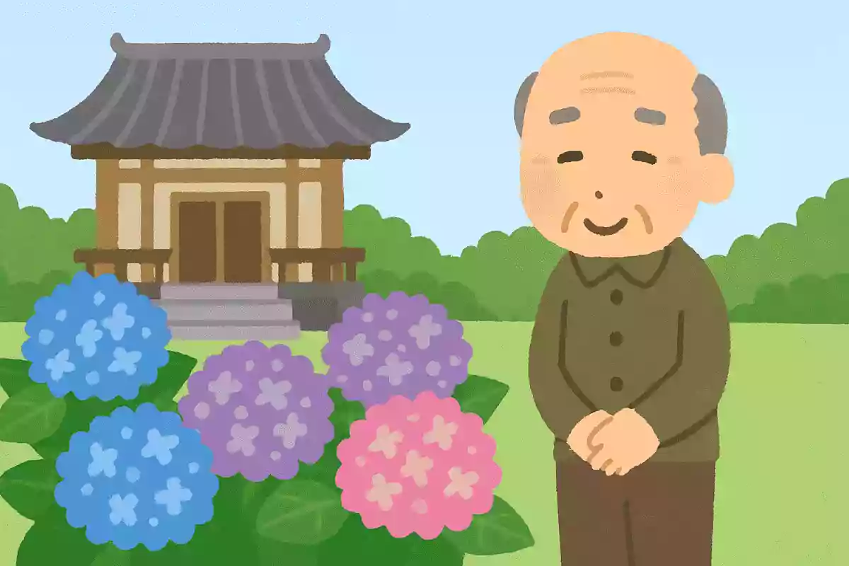 紫陽花が多くのお寺に植えられる理由は何でしょうか？
