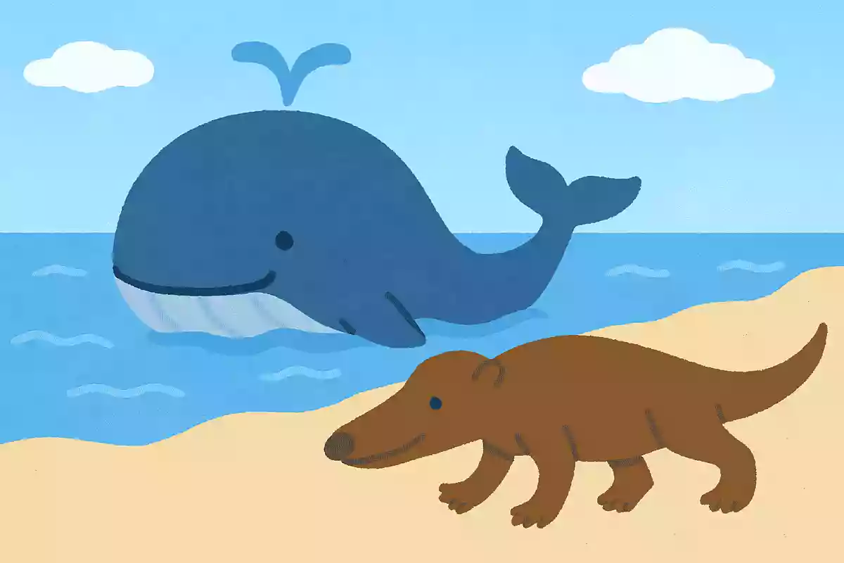海を楽しもう！保育向け海の雑学クイズ＆豆知識問題のアイデア集