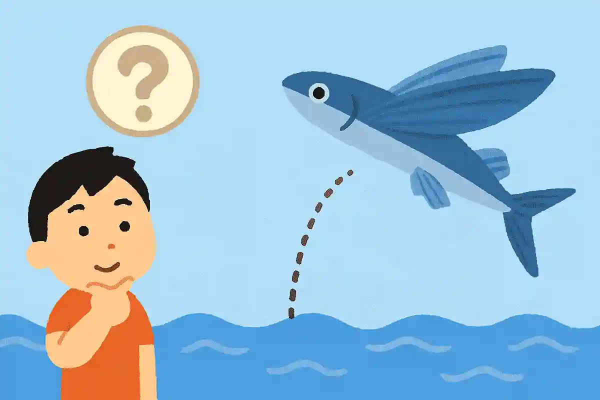トビウオが飛ぶ距離はどれくらいでしょうか？