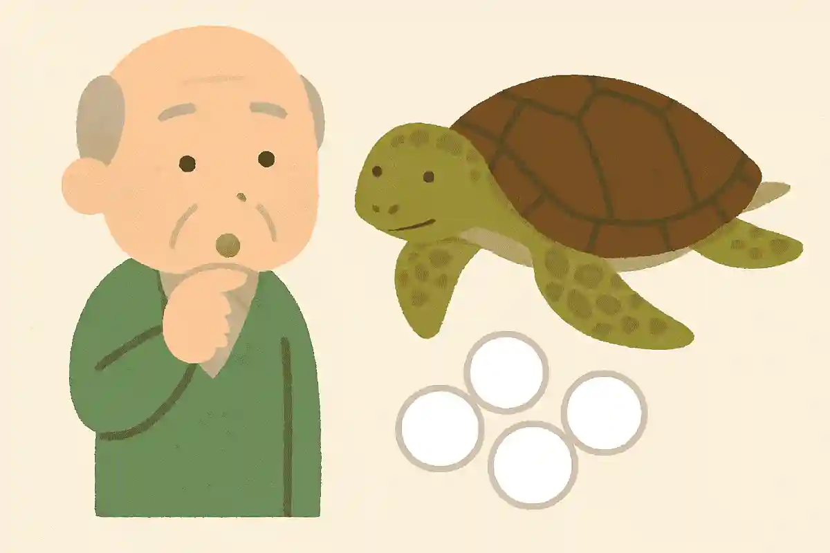 ウミガメの卵はどのような形をしているでしょうか?