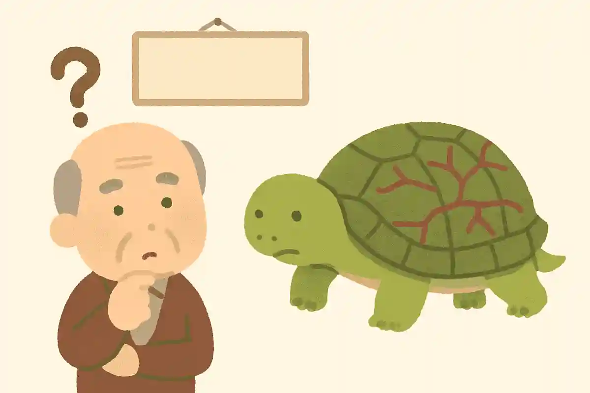 亀の甲羅には血が流れているでしょうか？