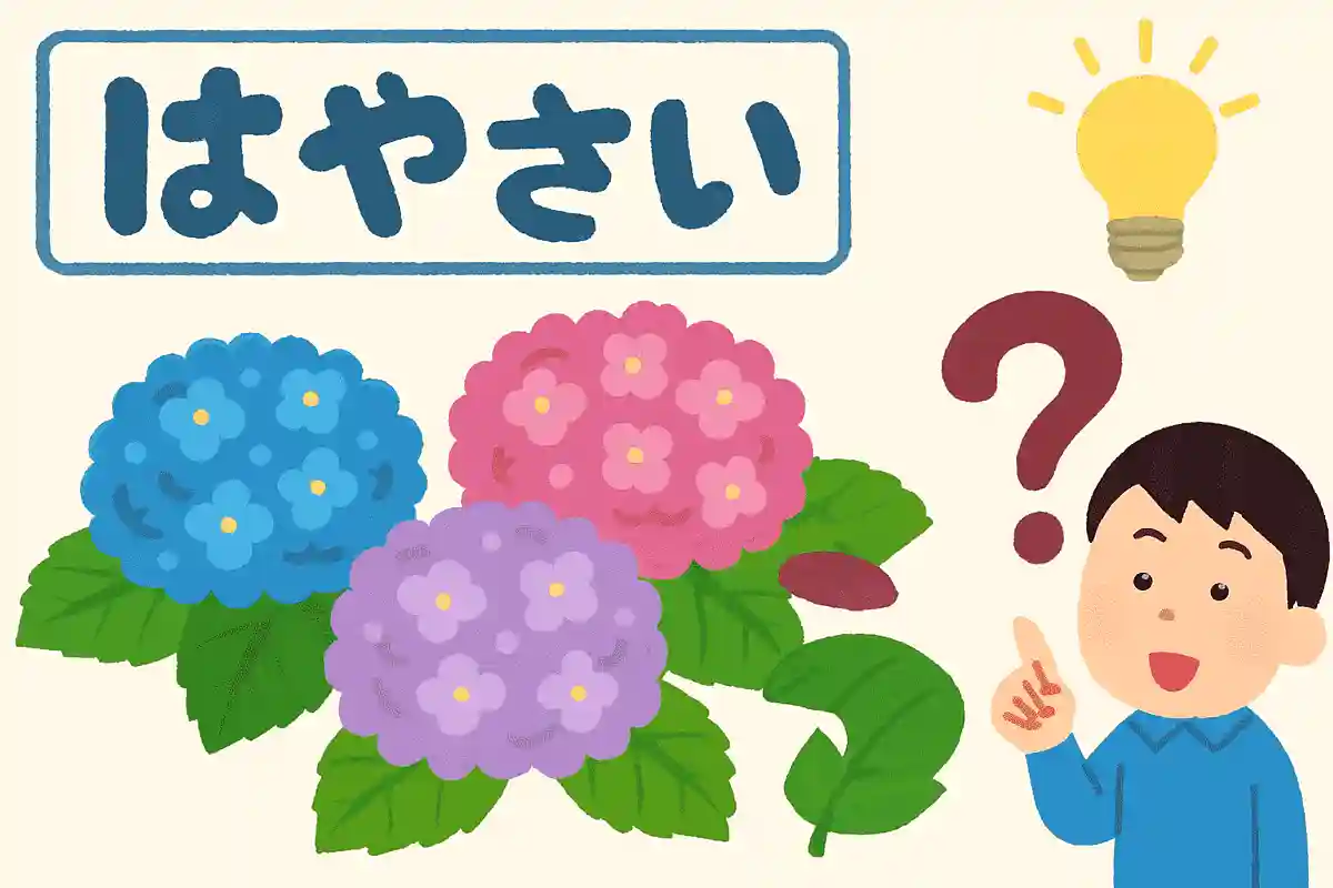 あじさいはどうして漢字で紫陽花と書くのかな?