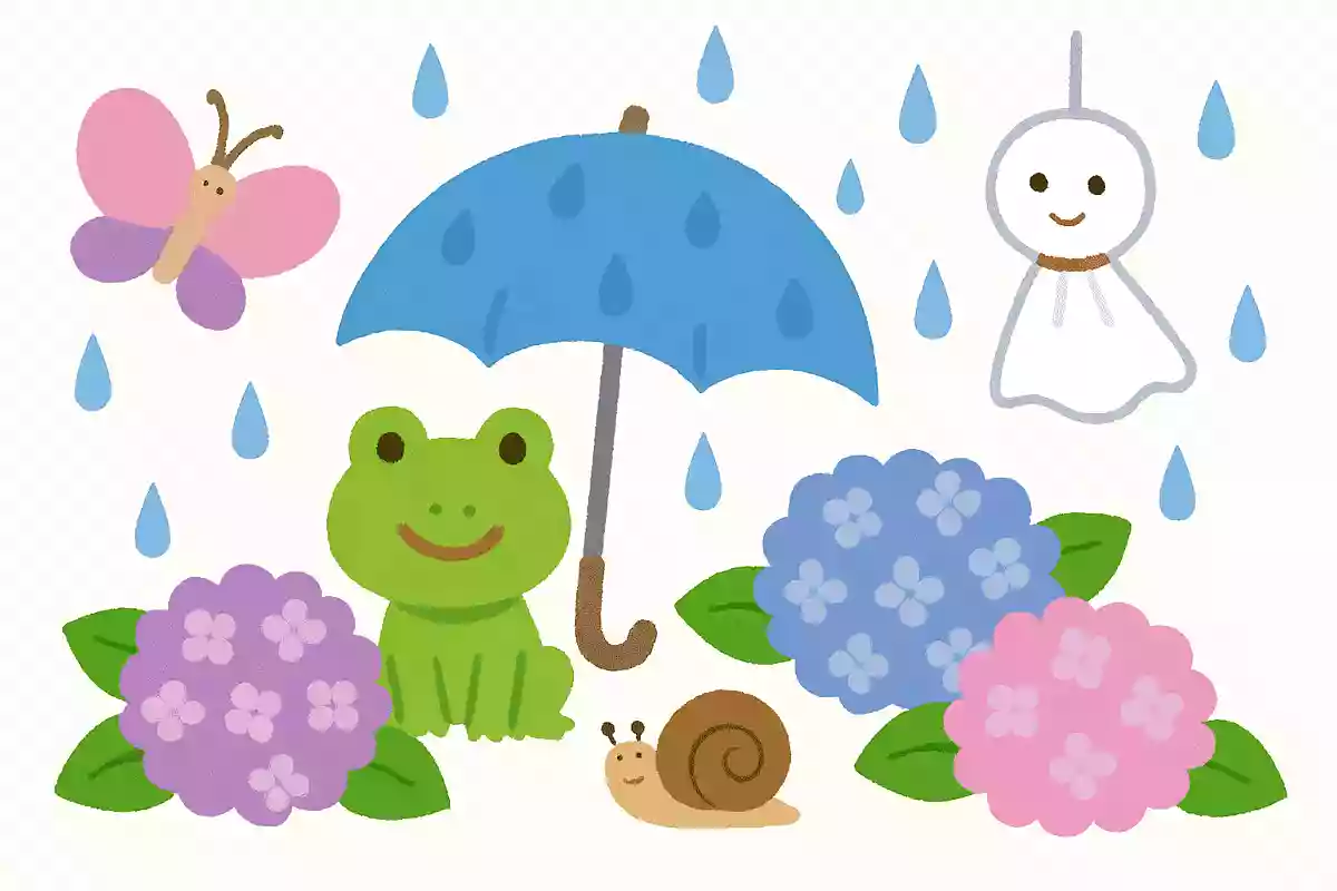 梅雨の時期に見かける動物はどれ?