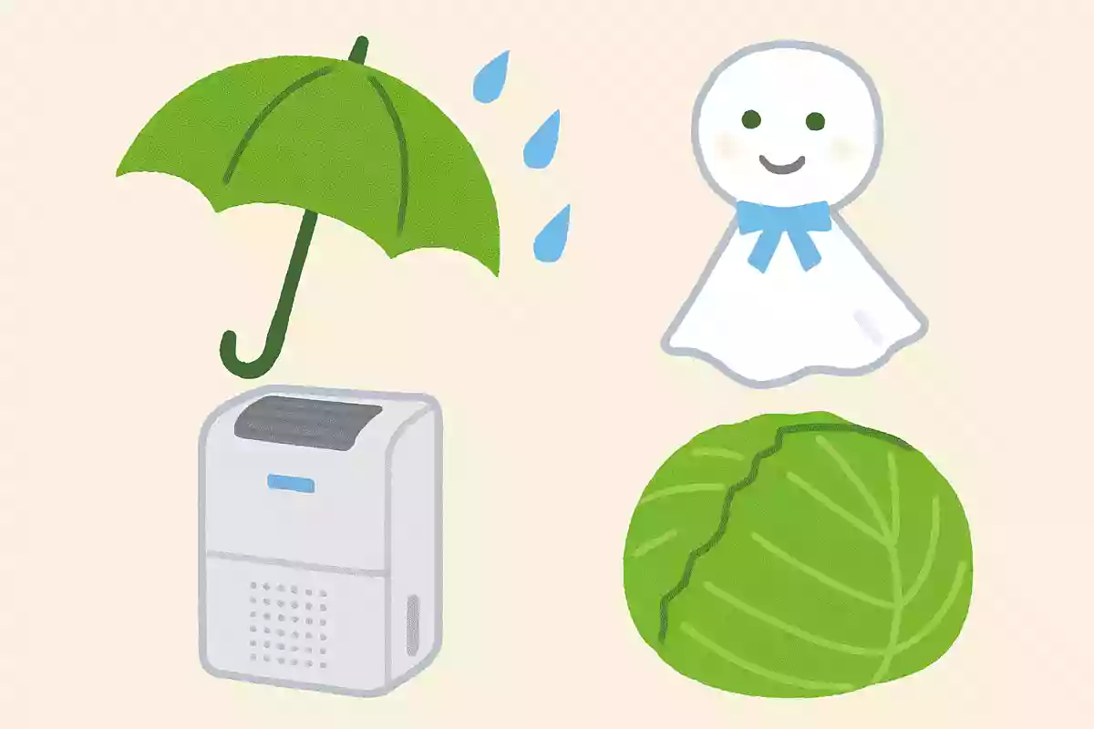 除湿効果があるものはどれでしょう?