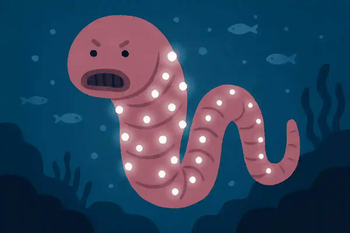 深海には「ヒカリボヤ」という巨大なミミズのような生物がいる