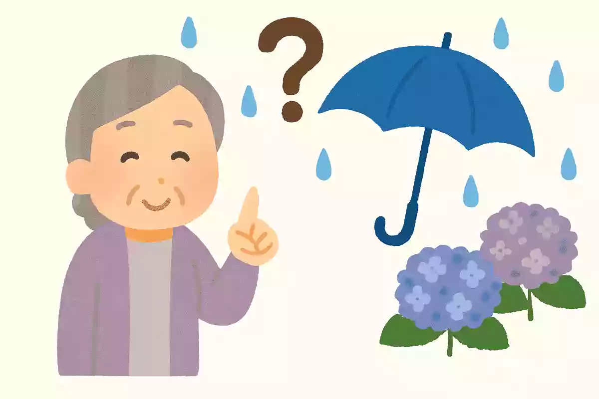 梅雨入りや梅雨明けの観測がおこなわれるようになったのはいつ頃でしょうか?