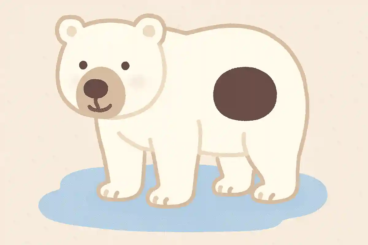 シロクマの毛の下の皮膚は何色でしょうか？