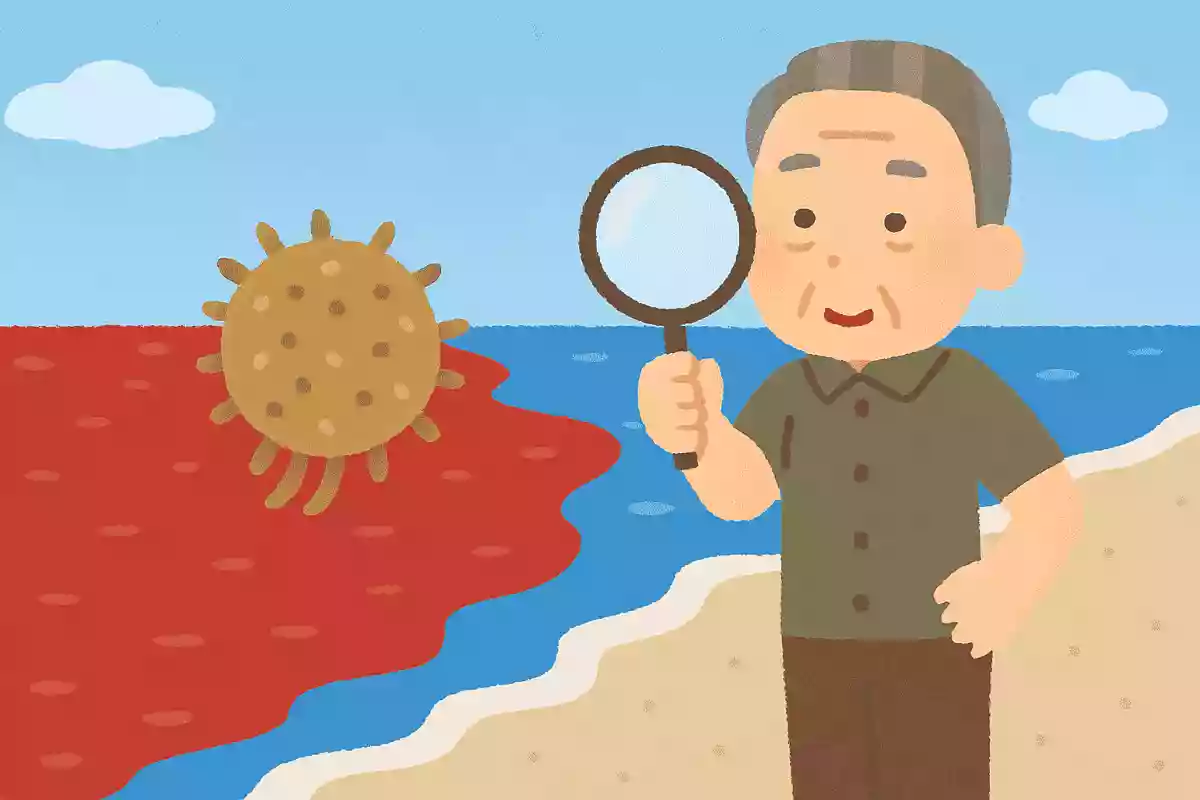 【高齢者向け】夏に挑戦しよう！海の雑学クイズ＆豆知識問題まとめ