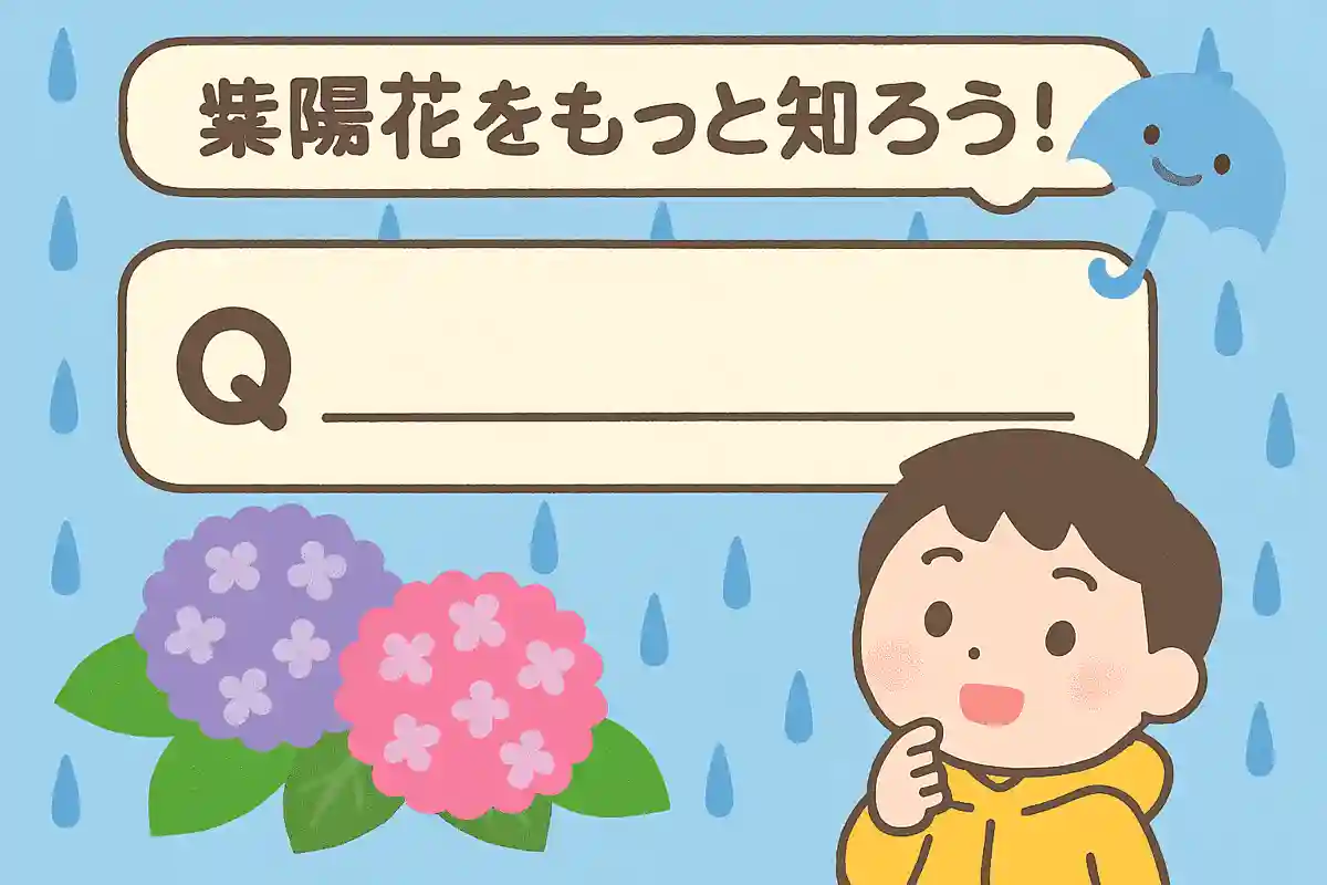 紫陽花は、梅雨の時期によく見られますが、梅雨のことを別の言葉で何と言うでしょう？