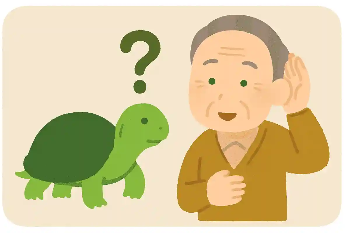 亀にも耳があるでしょうか？