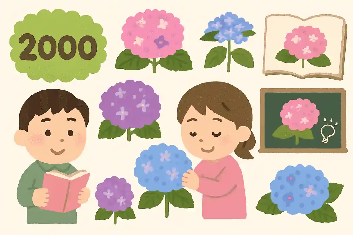 アジサイの種類は約2000種類