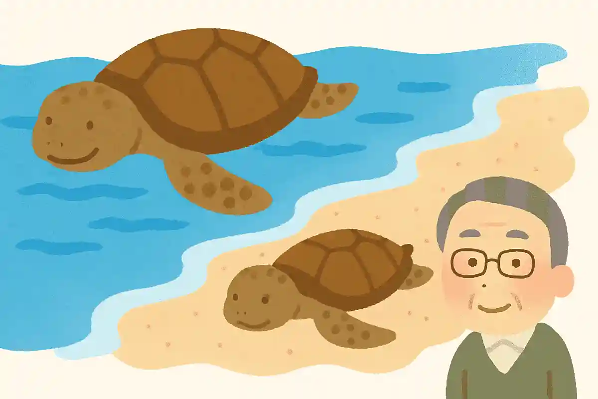 メスのウミガメは海と浜辺を行き来しますが、オスのウミガメも砂浜で過ごすことがあるのでしょうか？