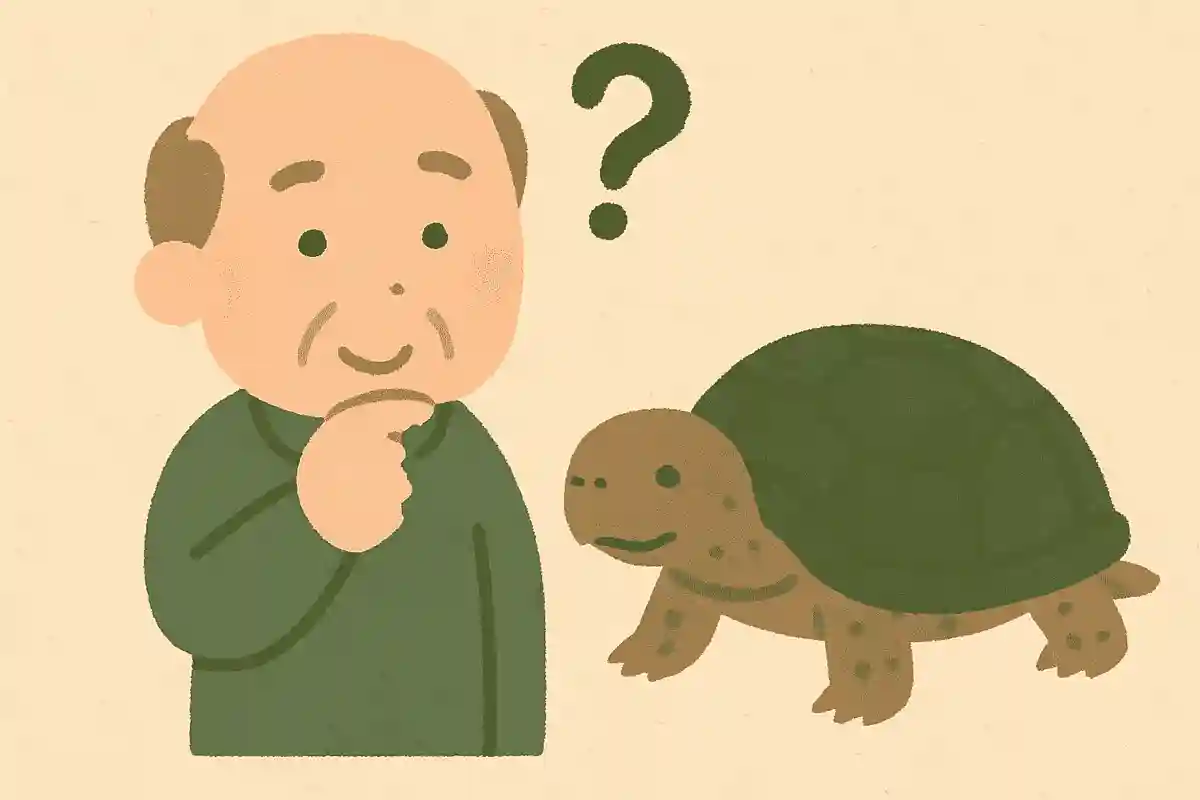 亀は冬眠するでしょうか？