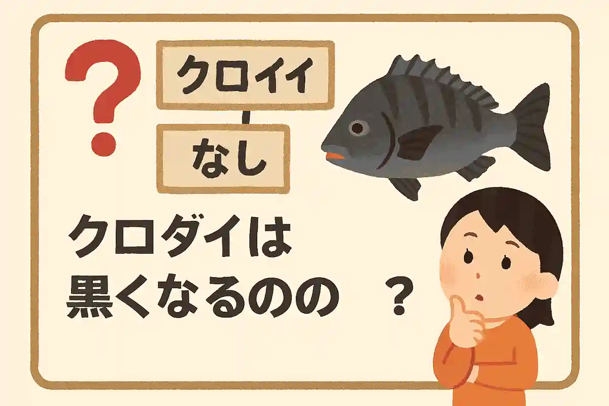タイと言えば赤いイメージですが、体が黒いクロダイもいます。では、クロダイはなぜ黒くなるのでしょうか？