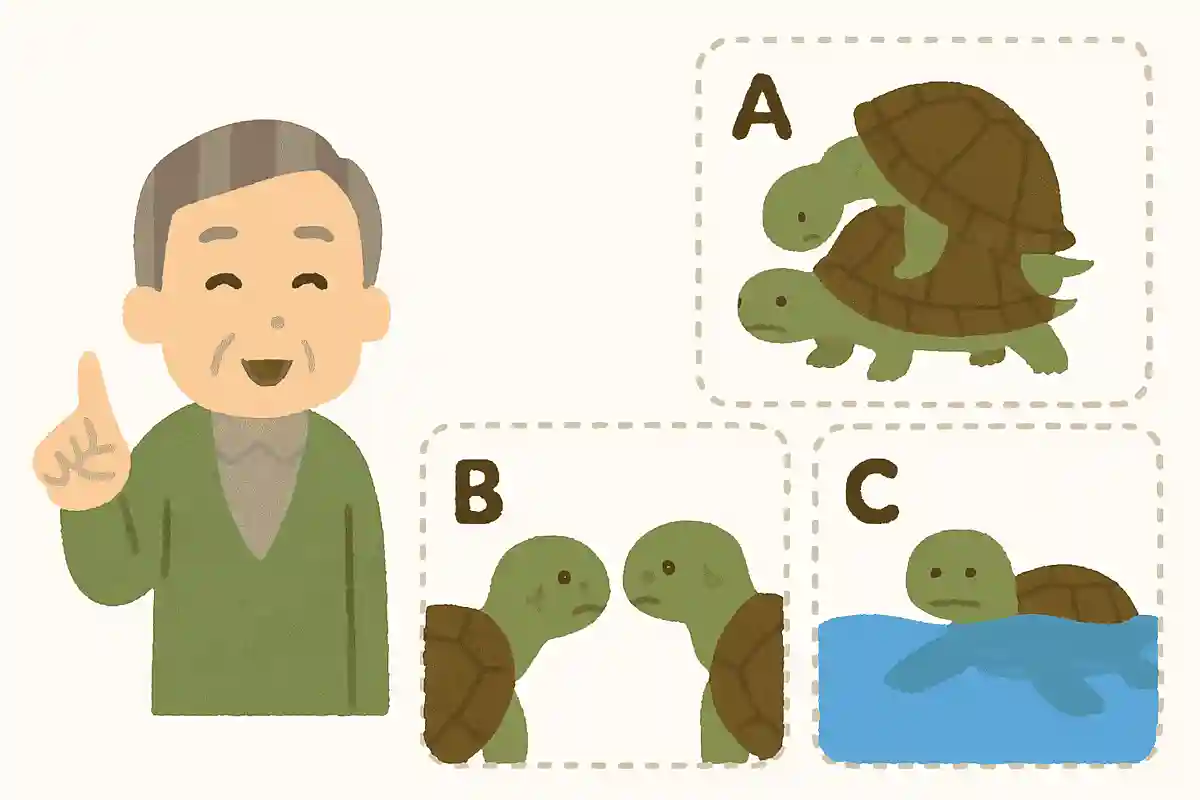 亀の交尾行動として、一般的ではないのは次のうちどれでしょうか?