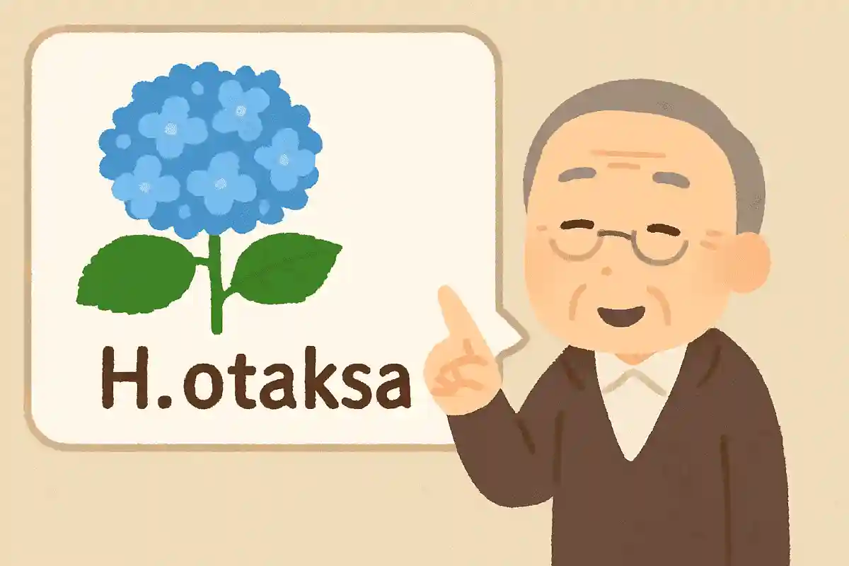 紫陽花を愛し世界に広めたシーボルトは、ある紫陽花に「H. otaksa 」と命名しました。どうしてこのような命名をしたのでしょうか？