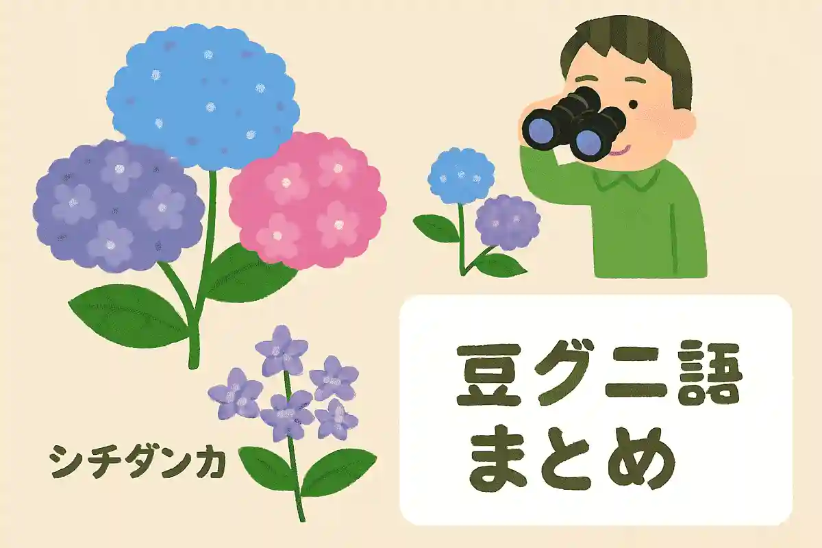 「シチダンカ」という幻のアジサイがある