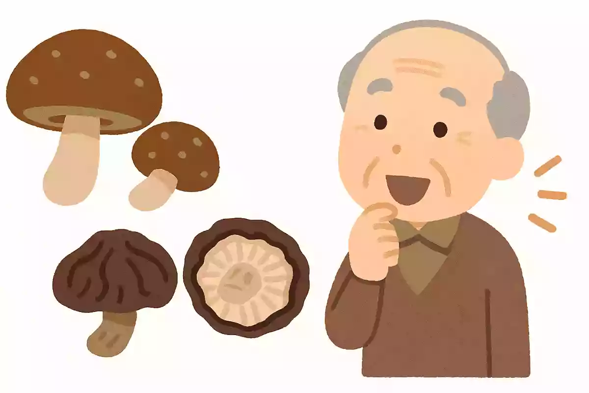 【高齢者向け】意外と知らない！一般常識クイズ