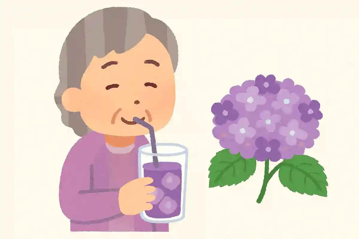 紫陽花を使った飲み物はあるでしょうか？