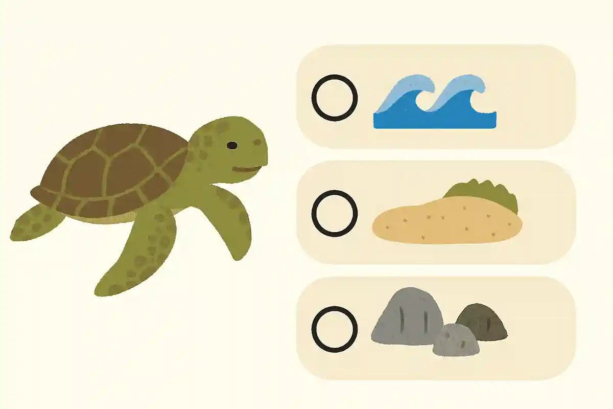 ウミガメは広い海を旅しますが、産卵する場所に特徴があります。次のうちどれが正しいでしょうか？